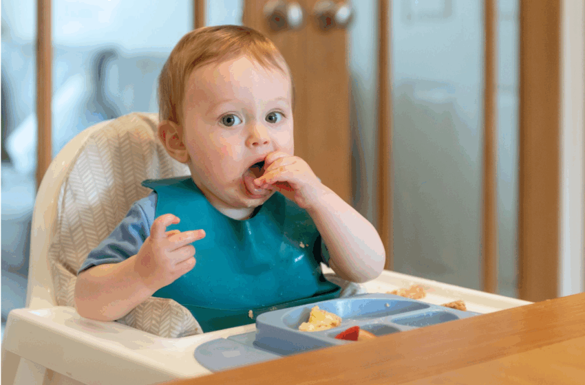 Complete 8.5-Month Baby Food Plan: Indian Edition & Practical Tips